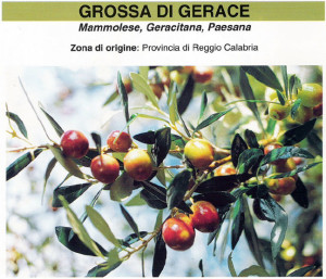 grossa_di_gerace