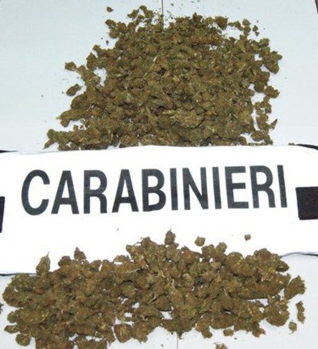 Droga: foto marijuana con scritta carabinieri, utilizzabile come generica/ foto carabinieri Ragusa