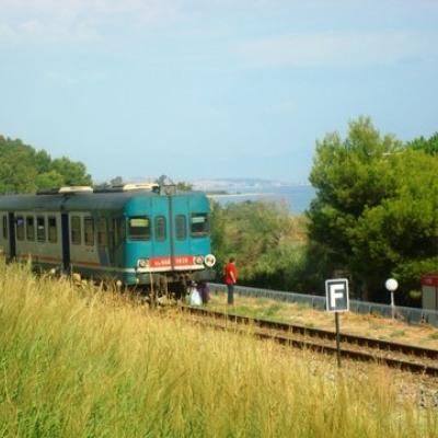 TRENO-PECORE