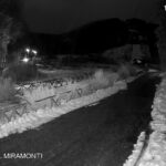 FOTONOTIZIA: GAMBARIE D’ASPROMONTE (RC): NEVICATA INVERNALE E TANTA NEVE