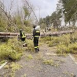 Allerta meteo in Calabria, gli interventi dei Vigili del Fuoco