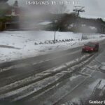 Maltempo Calabria: alberi caduti sulla fascia tirrenica, treni fermi sulla linea Reggio-Salerno